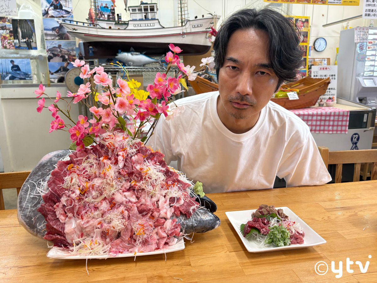 tohkuytv's tweet photo. 10月11日(日)放送の #遠くへ行きたい は…📺 

#眞島秀和 が #山形 を旅する🚶

人気の「鶴岡市立 加茂水族館」で
神秘的なクラゲたちに出会う🪼✨

名物酒場では地酒とずらり並んだ郷土料理をたっぷり堪能🍶

NTV朝6時30分～    
YTV朝7時00分～放送 見逃した方はTVerで⚡
https://t.co/7SlpF4RBUb https://t.co/sQ6wqwXgCM