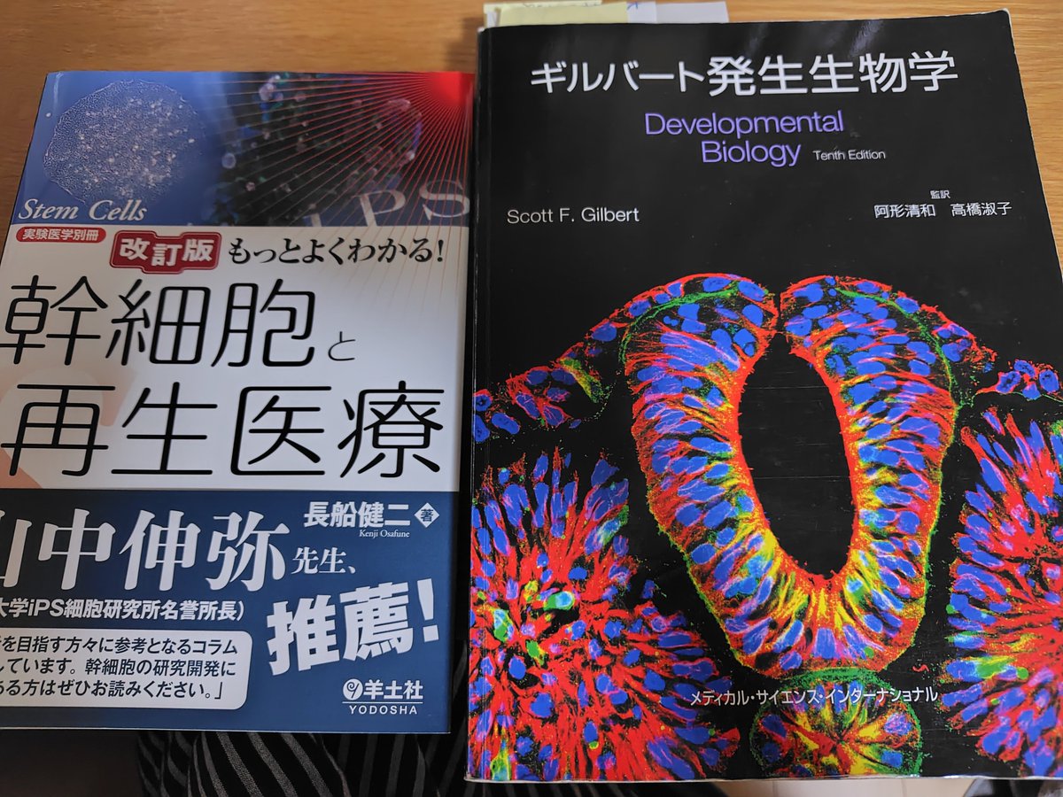 saitama541's tweet photo. 今取り掛かっているお仕事はこちら系。
特許翻訳の勉強を始めた当初、高校生物の復習をしたのですが、免疫関連は重要だけど、カエルの発生の知識はさすがに不要だろうとスキップしたら、iPS関連技術を理解するのに超重要で、その後必死に再復習したのでした。 https://t.co/tPG9o0oV2s