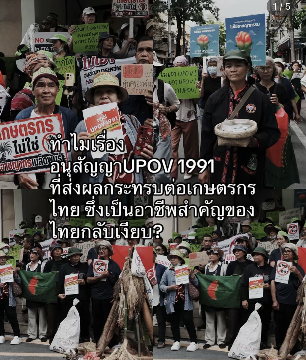 sundaeloner's tweet photo. ข่าวเงียบมาก ออกอยู่ไม่กี่รอบ แถมประท้วงแล้วยังเงียบ… 

#คัดค้านUPOV1991 https://t.co/A0wPFbUB8Z