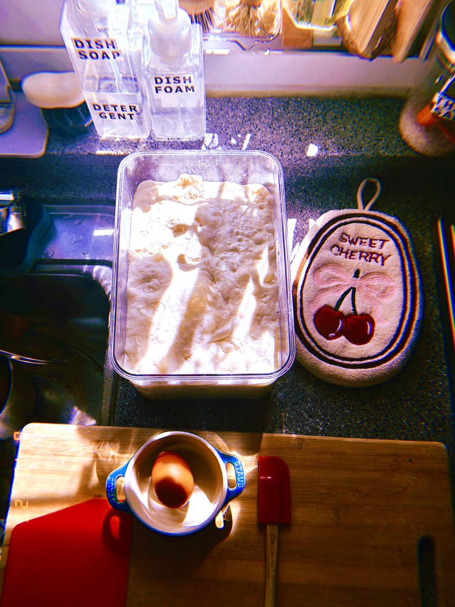 drewstar___'s tweet photo. Same hydration Same Sourdough 
#Sunny14 #Tuesday ✨✨✨ https://t.co/KBaEKhG8h5