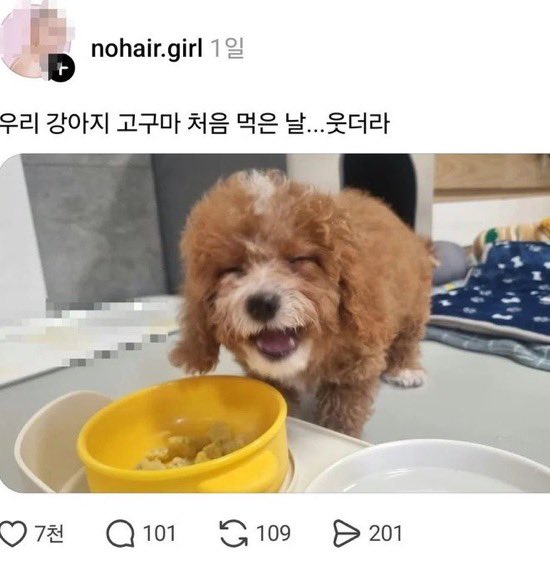 nclsfreedom's tweet photo. 우리 귤꼬기 고구마 처음 먹은 날… 웃더라 https://t.co/i2jYa2TUM7