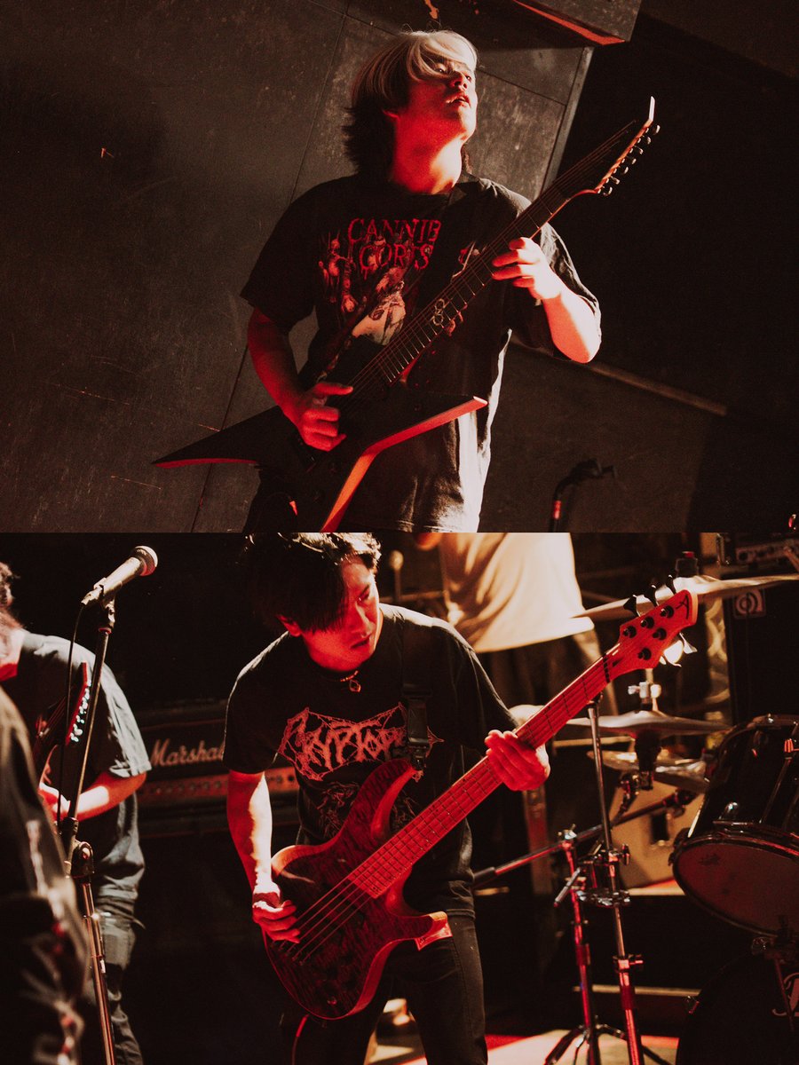 AlphoenixBand's tweet photo. 📌2026.10.5 新宿ANTIKNOCK
📷@mattuan_camera https://t.co/mHdgf0G4LG