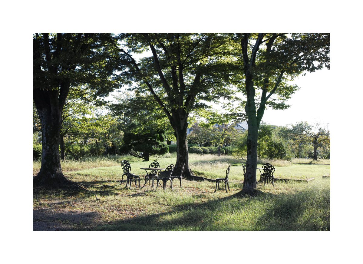 hoahoaman's tweet photo. Foveonと歩く https://t.co/qUsAmw24Mp