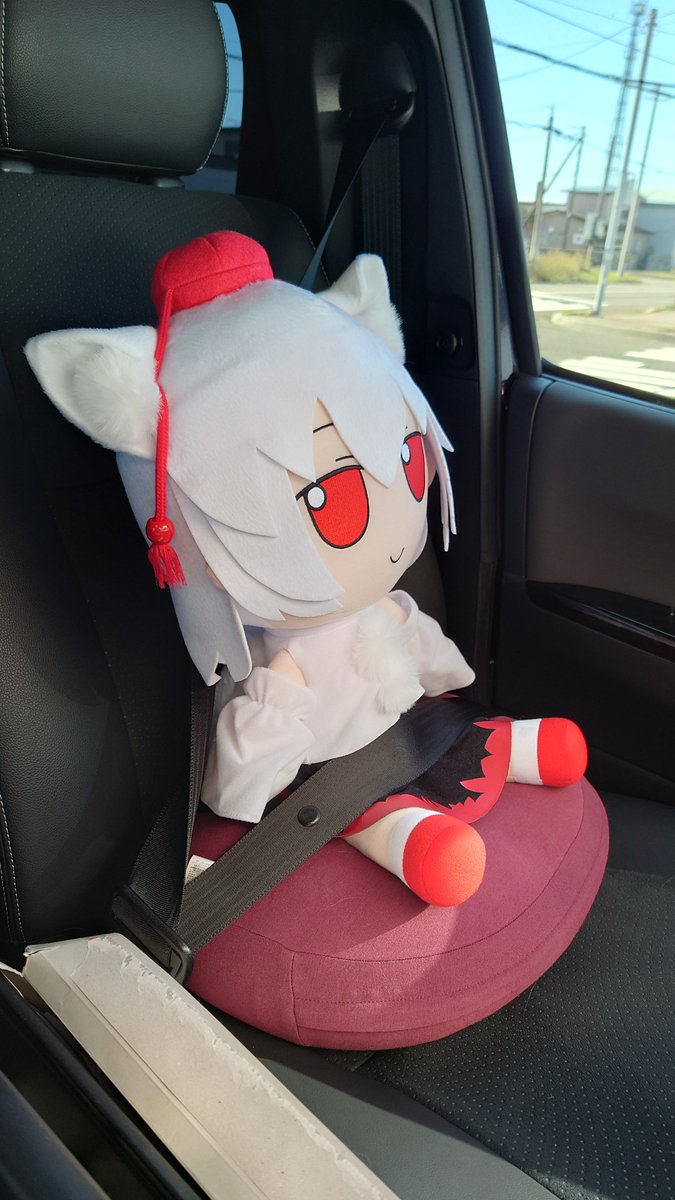 Vtcsku3HJBR2eZw's tweet photo. ふもみじ(まんなかサイズ)は助手席に鎮座しました。 https://t.co/TFFZuL0sdS