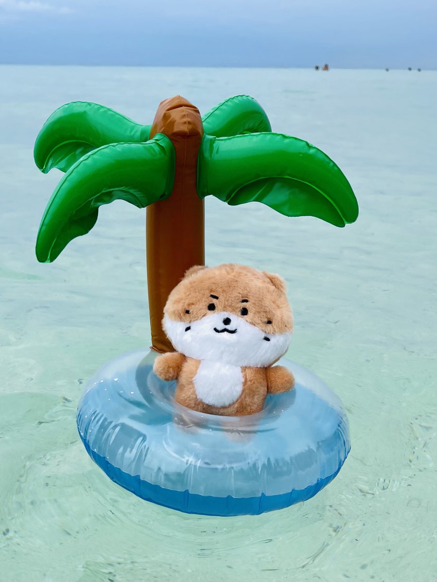 fmltracks's tweet photo. chanchan's summer in october 🌴 https://t.co/FTdhs8U5ZY