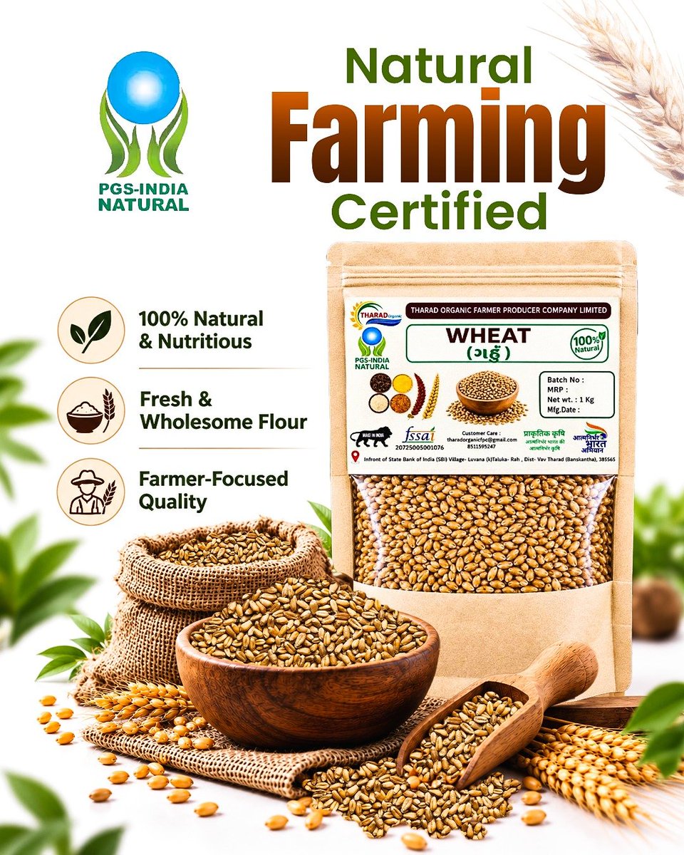 AgriGoI's tweet photo. Go Natural 🌿

Tharad Organic Farmer Producer Co Ltd., #Banas Kantha #Gujarat #FPO, with 750 farmer members, cultivates Wheat using bio-inputs through natural farming practices.

 Natural farming reduces the cost of cultivation & ensures produce free from chemicals- only natural goodness & taste.
@NITIAayog

FPO Contact- Sh. Narbatbhai 85115 95247

Click to buy naturally grow wheat directly from FPO
https://t.co/DlS0ONMZmg

 #NF #ShreeAnna #NaturalFarming #RegenerativeAgriculture #AgriGoI
