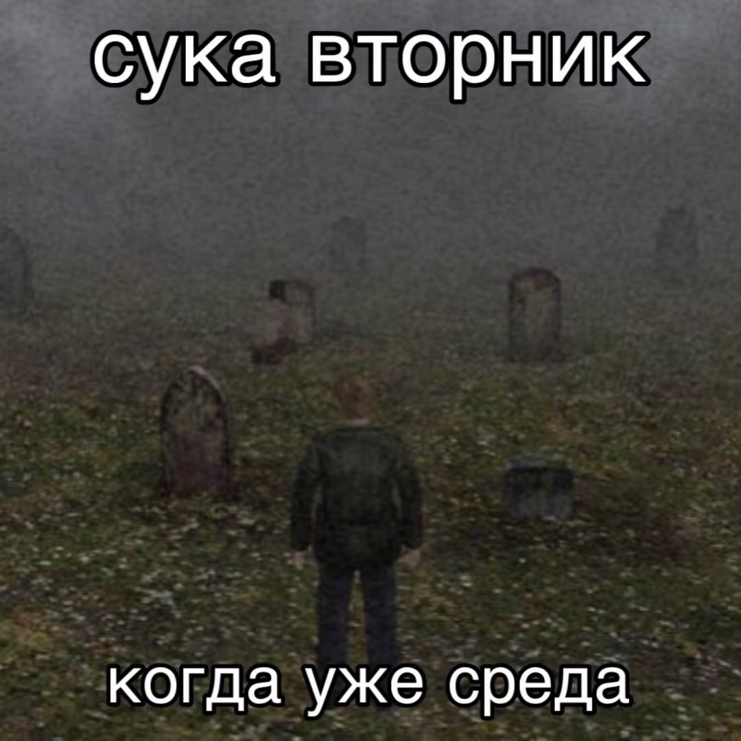 FtenDoc's tweet photo. Когда? https://t.co/fU37bpqF9K