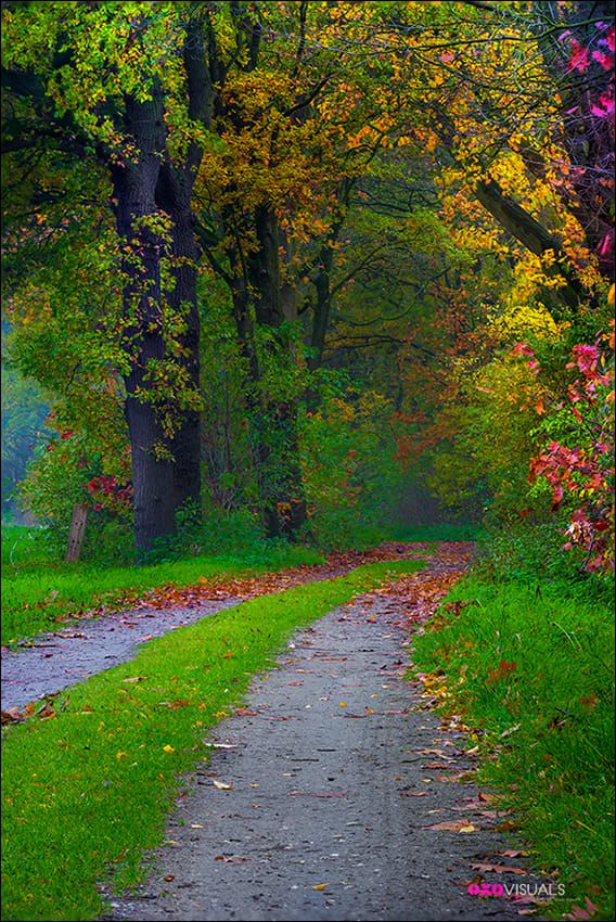 PG_23March's tweet photo. Good Morning. Happy Tuesday! 🍀🍀☕️ https://t.co/JtcvRlTtR2
