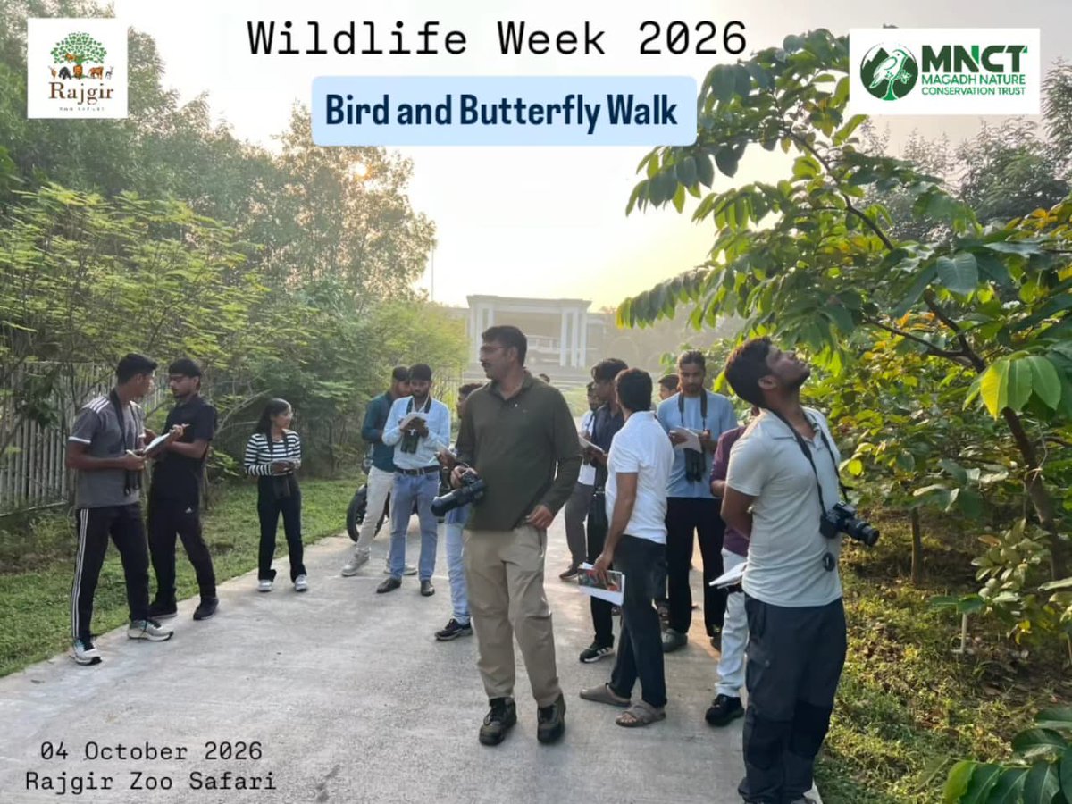 mnctindia's tweet photo. Wildlife Week 2026 
Bird and Butterfly Walk at Rajgir Zoo Safari
04 October 2026

On the occasion of Wildlife Week 2026, Rajgir Zoo Safari and Magadh Nature Conservation Trust (MNCT) jointly organised a butterfly and Bird Walk along the forest track of Rajgir Zoo Safari. https://t.co/0zW2iHbXRr
