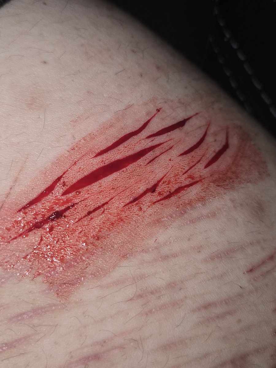Ending_Ender's tweet photo. FAKE SFX MAKEUP AI IMAGE MAKEUP FOR HALLOWEEN 
Did this yesterday, not the greatest but pretty good imo. One of my boyfriends @Moopzy429 gave me some much-needed encouragement to do the biggest one, very proud of it 💜🐾 https://t.co/tfzPQIXLZk