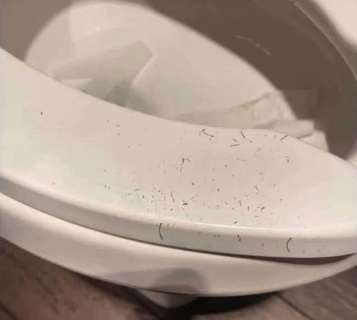 _ascorpiosdiary's tweet photo. Don’t come back to my crib if you leaving booty crust on the toilet! https://t.co/adEsplRvCE