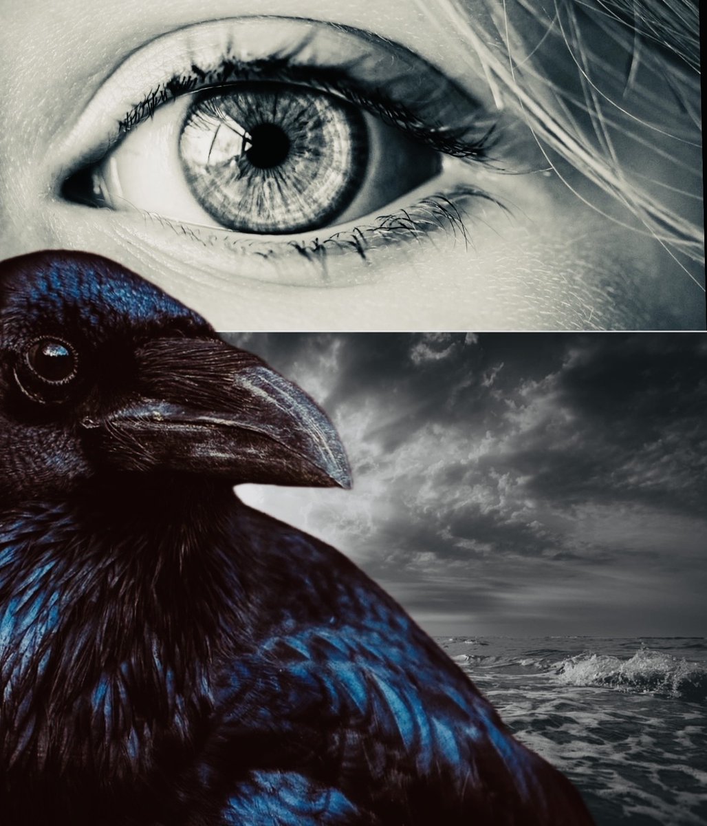 DNicholsAuthor tweet picture