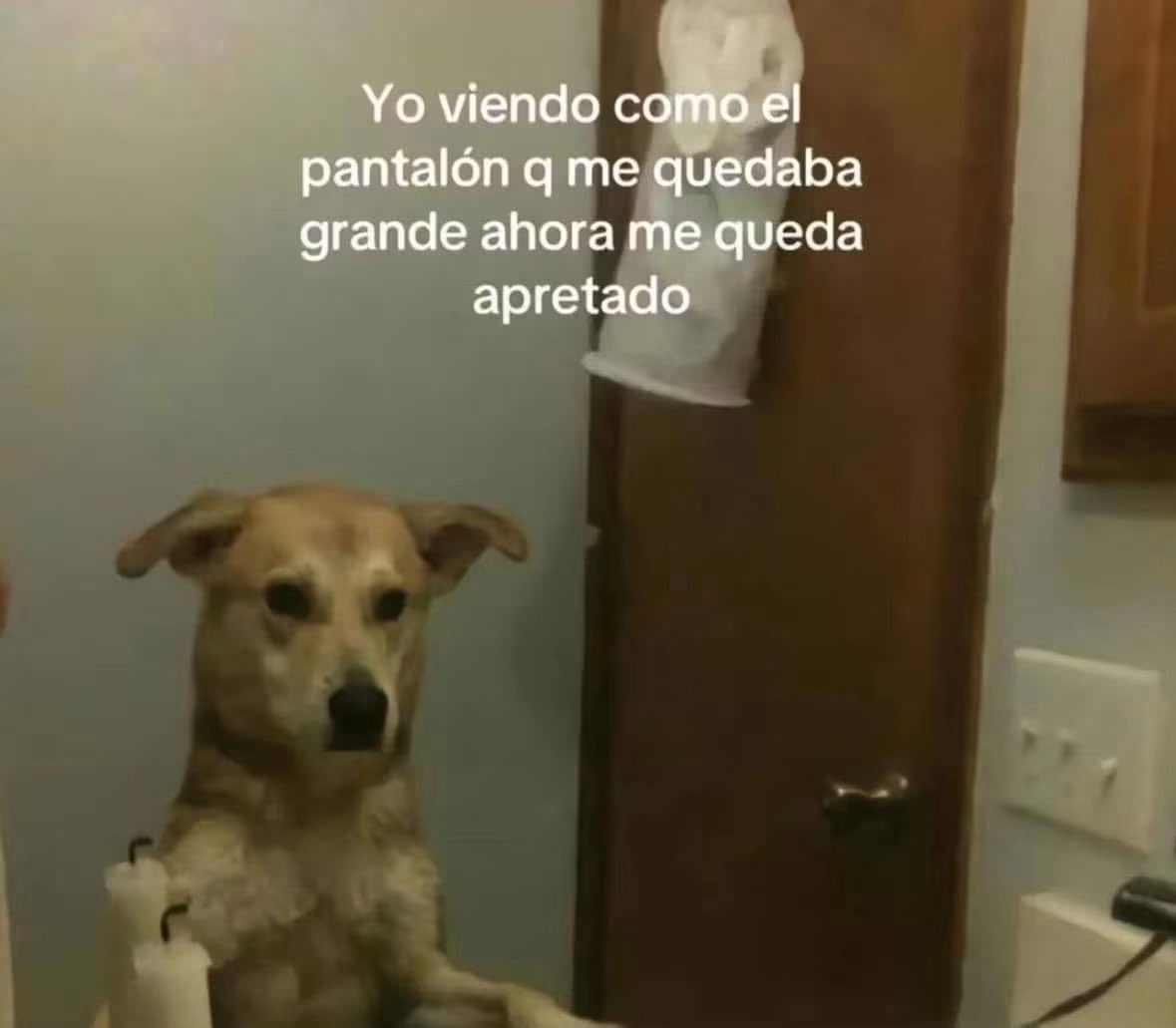 DiloConPerritos's tweet photo. https://t.co/dUeinHoVam