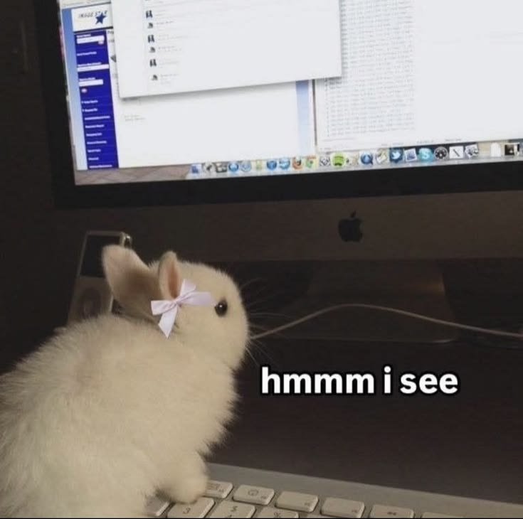 popularrabbit tweet picture
