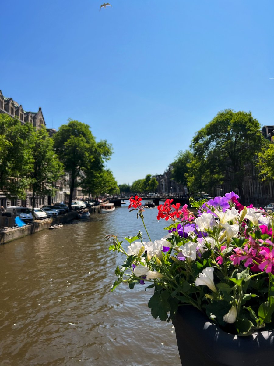 CharmOfCulture's tweet photo. Amsterdam is never a bad idea 🇳🇱 https://t.co/1Q7KE3h2Ic