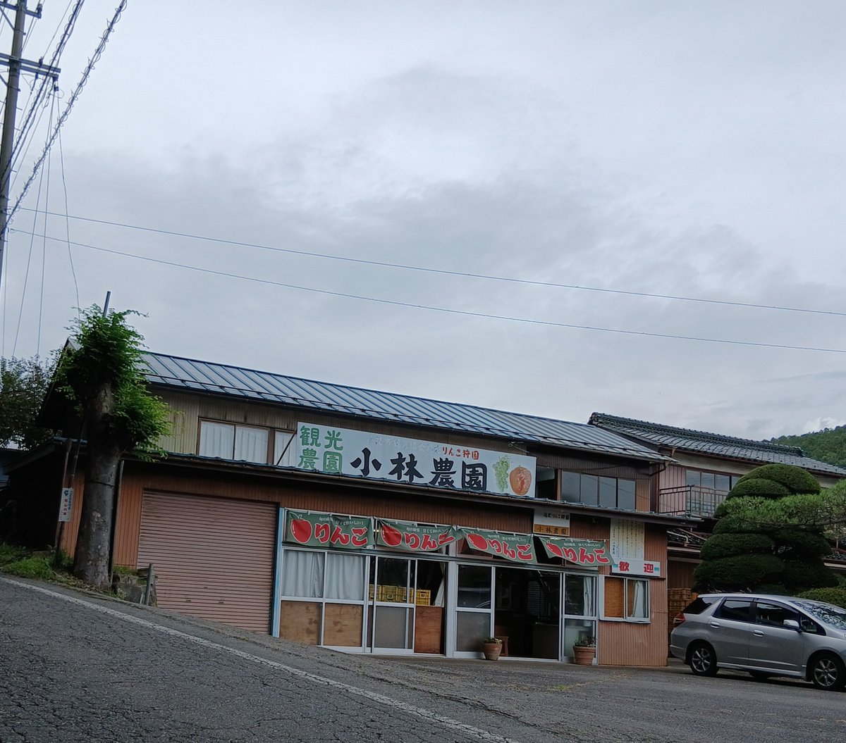 UsagiGm395's tweet photo. 蓮の実や　もろろしがらみ溢しゆく

１１℃　の　朝☁️

日々　朝の冷えがきつく　なってます…

少し明るくなってきた　昼
１８℃　☁️⛅

🍎畑も　赤みの賑やかに…

ぜひ
🍎狩りに入らしてほしい…楽しいよ～

＃イマソラ信州小諸 https://t.co/oRBwKEET0N