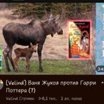 Photo by Полуночный В⭕й 🐺@ (@midhowl)