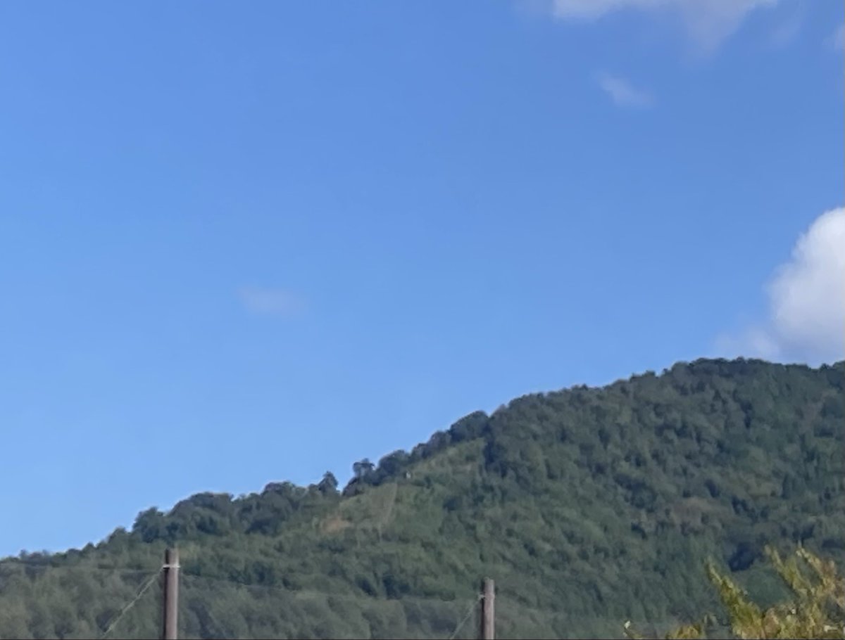 pukuchon's tweet photo. お散歩🚶‍♂️良い天気☀️
みんな気持ちよさそう😊

大文字山はっきり写ってないけど
なんだかお山⛰️も、のんびり💚

#イマソラ
#CHAEst🌻 https://t.co/7I4xymiuD9