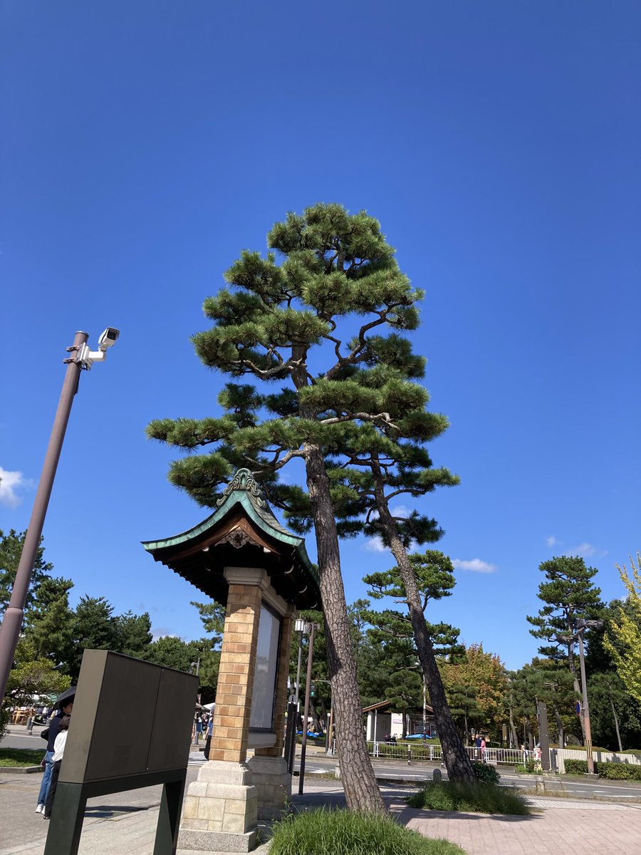 pukuchon's tweet photo. お散歩🚶‍♂️良い天気☀️
みんな気持ちよさそう😊

大文字山はっきり写ってないけど
なんだかお山⛰️も、のんびり💚

#イマソラ
#CHAEst🌻 https://t.co/7I4xymiuD9