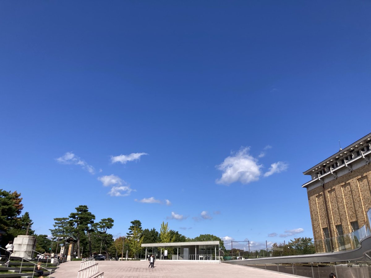 pukuchon's tweet photo. お散歩🚶‍♂️良い天気☀️
みんな気持ちよさそう😊

大文字山はっきり写ってないけど
なんだかお山⛰️も、のんびり💚

#イマソラ
#CHAEst🌻 https://t.co/7I4xymiuD9