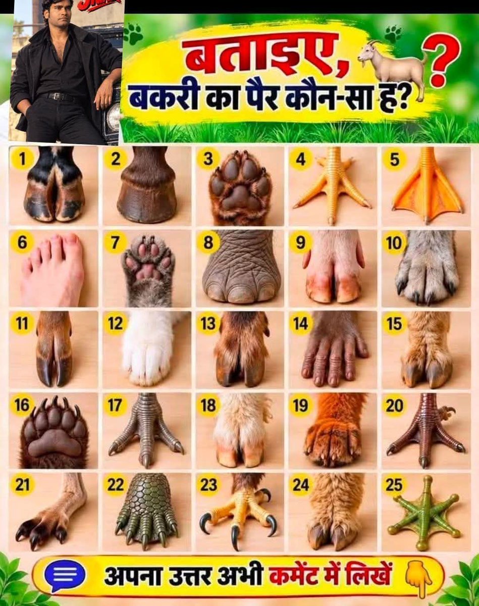 Ar81200's tweet photo. अजब गजब मे,,,, बताइये इसमें बकरी का कौन सा पैर है 🥰 https://t.co/ytX1hKT8WN