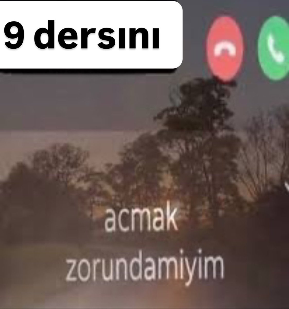rouanax's tweet photo. gunaydın https://t.co/eE3kNx52M5