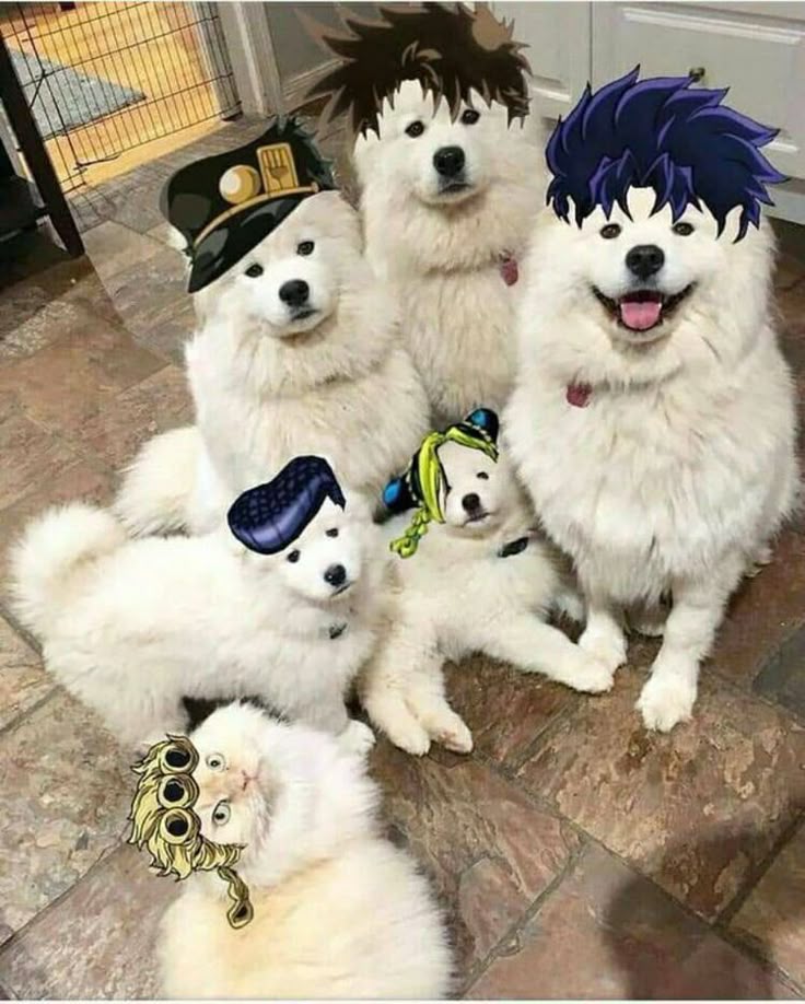 weeaboi827's tweet photo. https://t.co/TfVhVNMpRw