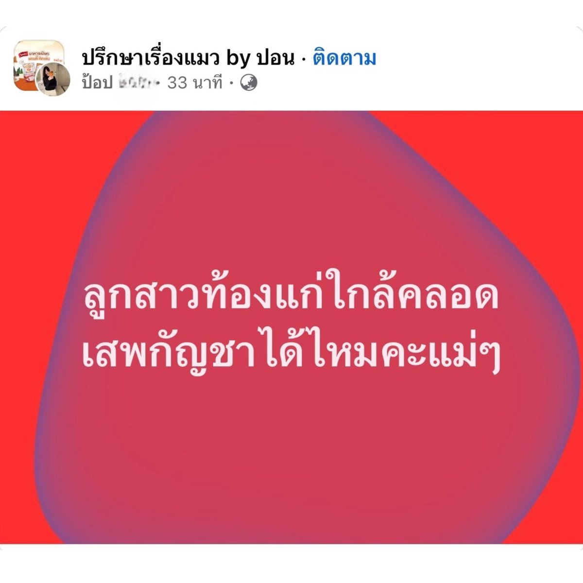 AnimalFW_TH's tweet photo. เกือบเดรสสส https://t.co/21ueQlDwFE