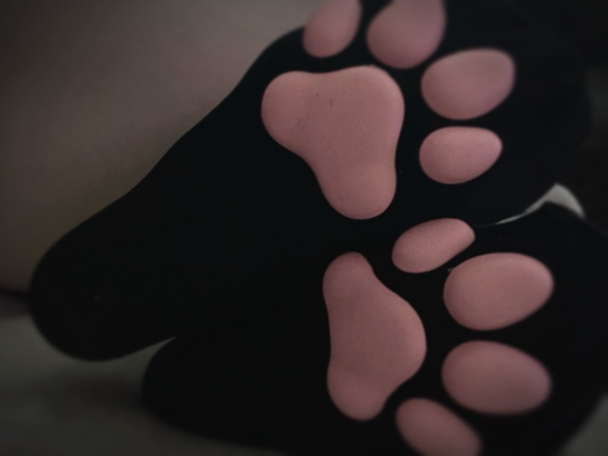pinkkitty663's tweet photo. Kitty incoming… https://t.co/bzBRNcVw78