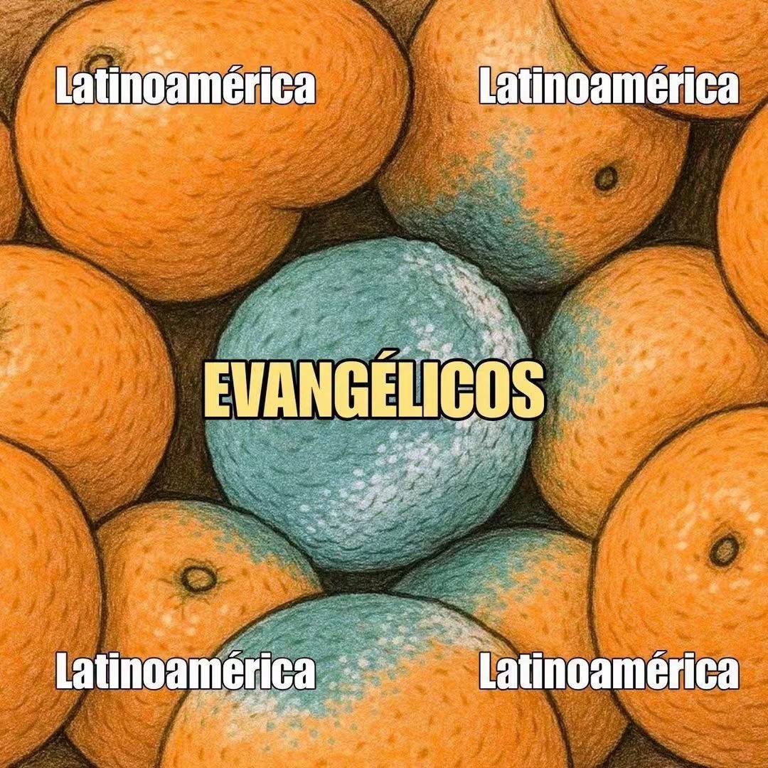 Vagatelas768's tweet photo. @rebekah_e_s https://t.co/9irvek4KMt