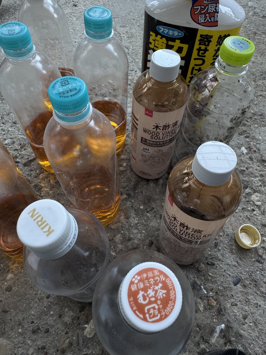 mashirim's tweet photo. 木酢液と猫よけを混ぜたやつを設置してきた https://t.co/TUH6OPLycv