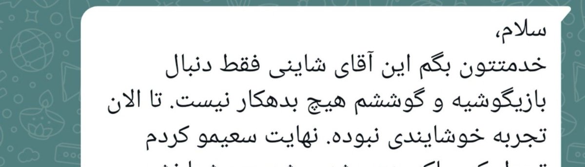 PrKimzwoman's tweet photo. اینو در مورد بچه‌گربه‌ی DSH نارنجی‌ که به سرپرستی گرفته میگه :)))
واقعا هیچ حد و مرزی برای حرومزادگی ملت وجود نداره. https://t.co/qJh2rvWc7O