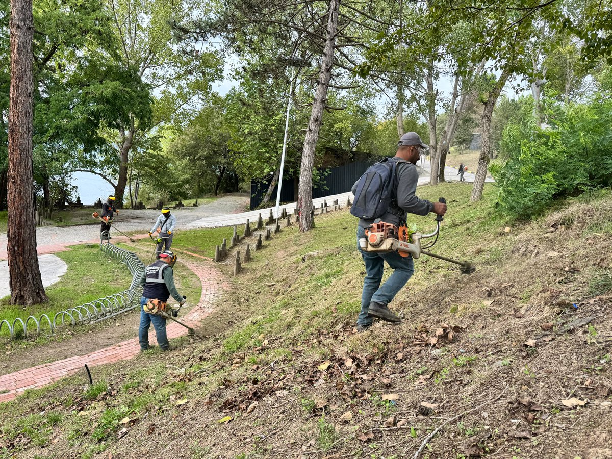serdivanbld's tweet photo. Ekiplerimiz Serdivan’ın Dört Bir Yanında!

📍 Gölpark Tesisleri
🌿 Yeşil alanlarımız daha düzenli, daha bakımlı💚

Çevre düzenleme çalışmalarımız hız kesmeden devam ediyor. 🌳

Serdivan için durmadan, yorulmadan çalışıyoruz.

#SerdivandaHizmetHiçBitmez

@osmancelikSRD https://t.co/TwyHU47Rkh