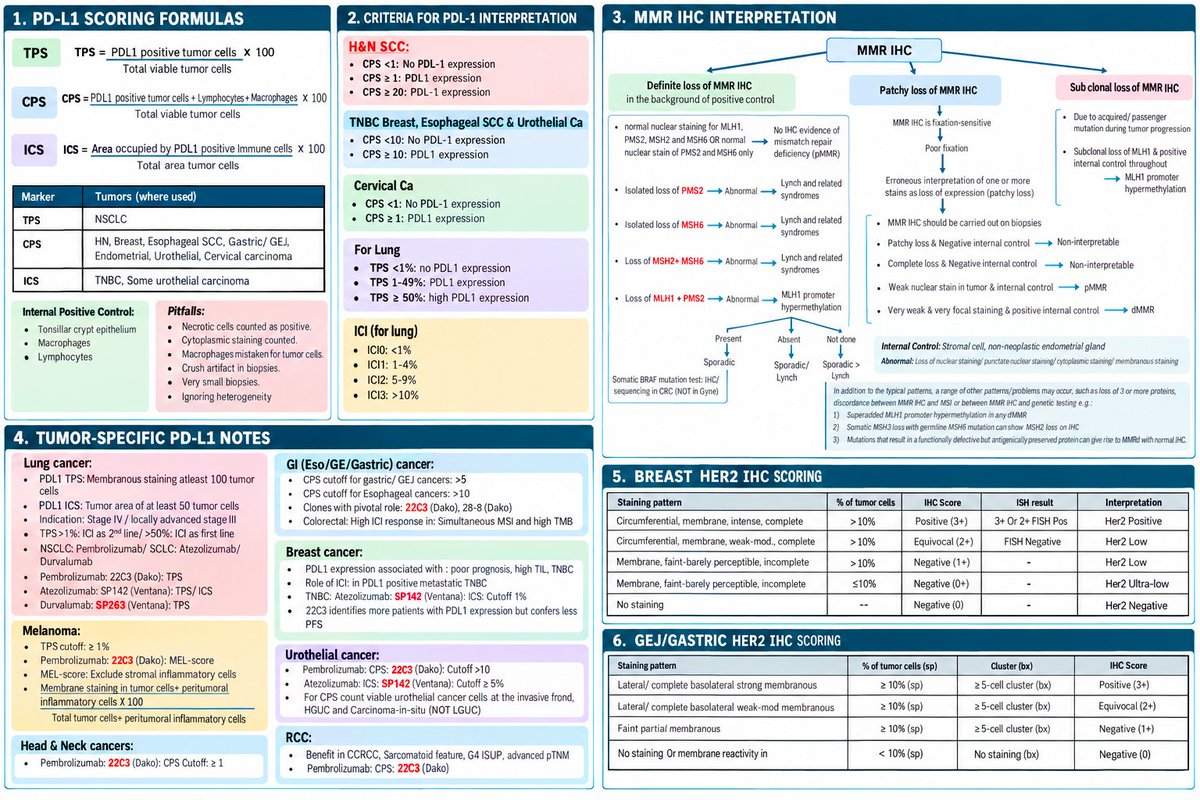 pathognosis22's tweet photo. Probably the most important table so far. #MMR #PDL1 #HER2 #IHC #FISH #pathognosis #pathtwitter https://t.co/BqDl7xxMHM