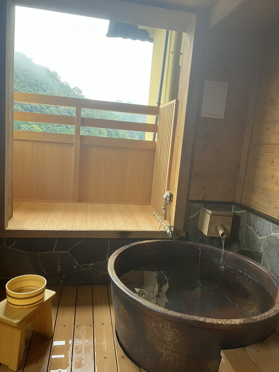 ruru__207's tweet photo. 2回目の結婚記念日を迎えました
近場だけどちょっぴり贅沢
これからもよろしくね https://t.co/bI3f4cnDSY