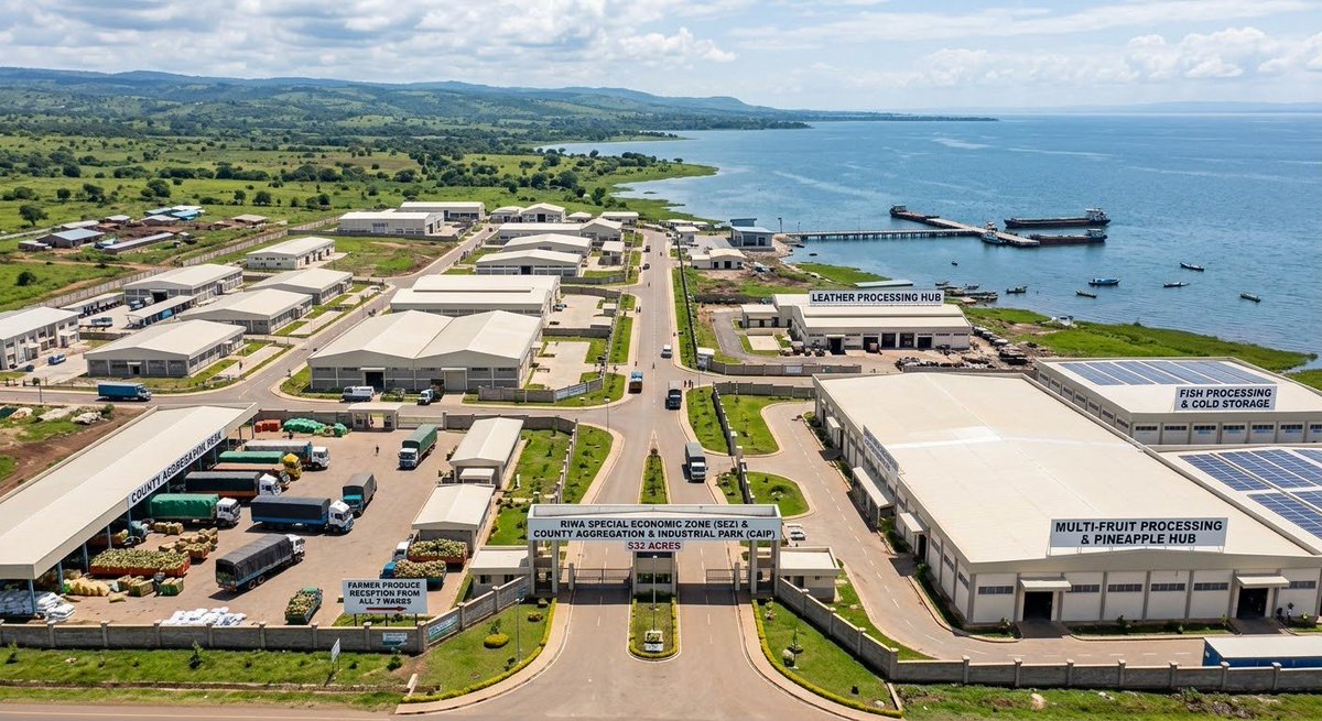 Dukeofkendubay's tweet photo. Riwa Special Economic Zone (SEZ) & Aggregation Park.

Located on a 532 acre tract at Riwa in West Karachuonyo Ward / Rachuonyo North, extending toward the Lake Victoria shoreline. It anchors local agri-processing, multi-fruit (pineapple) processing, fish processing, and leather hubs.

We need local factories producing milk, bread, tissue paper, and daily necessities to drive immediate employment and circulate money locally. We will bring investors from across Kenya and globally to partner with us in building Karachuonyo's industrial future.
  
​County Aggregation and Industrial Park (CAIP) ;  Situated within the broader Riwa SEZ footprint to process produce aggregated from farmers across all Karachuonyo wards.

Brian Oketch Magak for Karachuonyo MP (UDA)