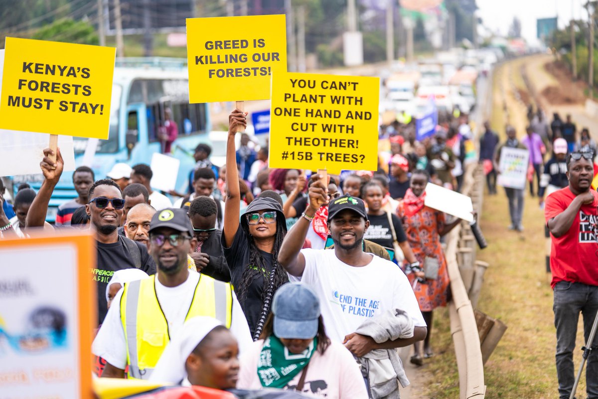 gp_kenyagroup's tweet photo. Decisions affecting public heritage must not happen in secrecy. Forest governance requires open doors, transparent impact assessments, and community-led protection.
👉 https://t.co/BCPCbXkOFt
#HandsOffOurForests #ProtectKenyasForests @DeboraBarasa @Environment_Ke https://t.co/HYSdzKtW82