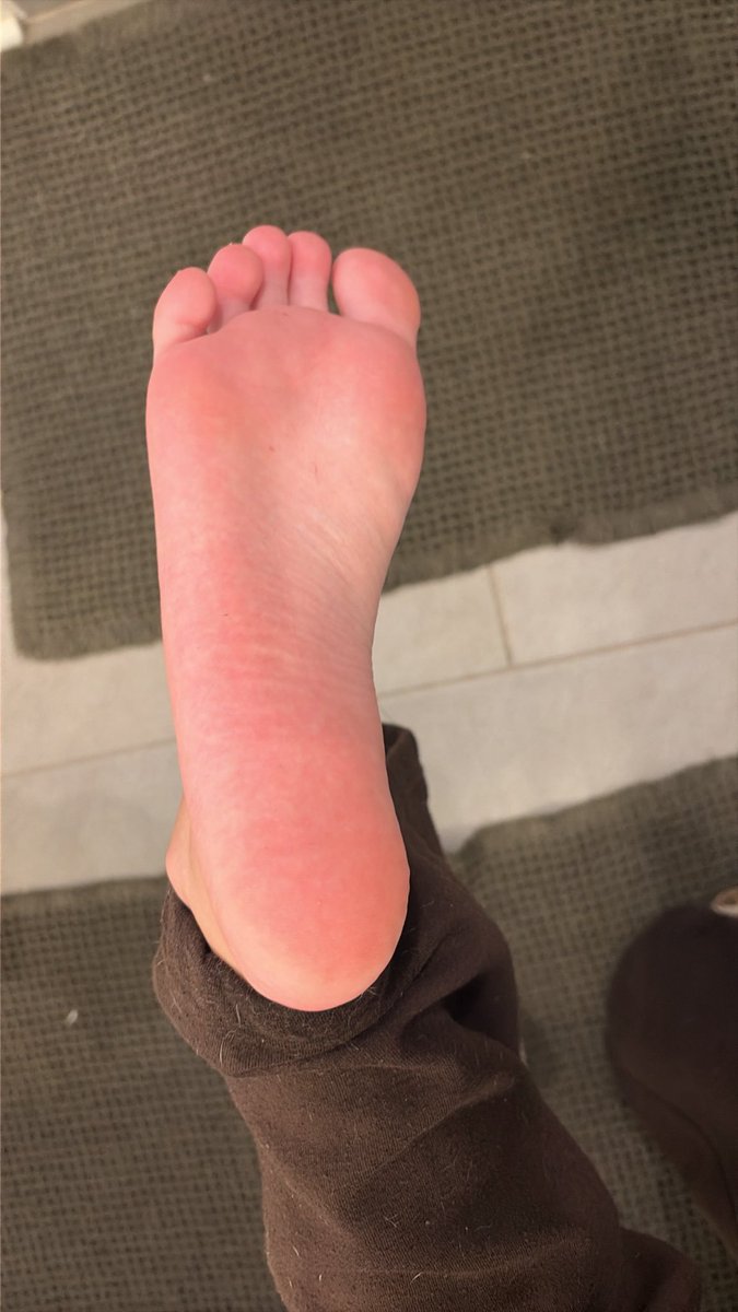 AlexisBecky00's tweet photo. bow and send peasant https://t.co/BDJmSZLy52