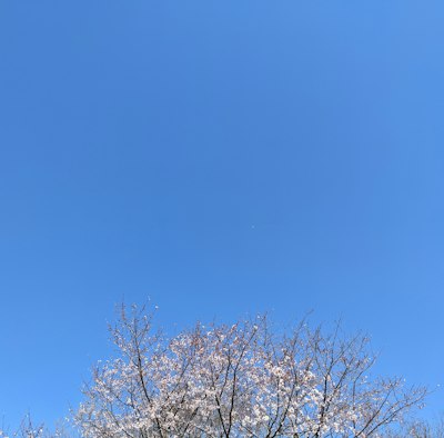MusaAliu14's tweet photo. 明日は推し活しながらカフェ巡りしたいな〜☕️予定立てるのも楽しい https://t.co/i7ATH7iFlR
