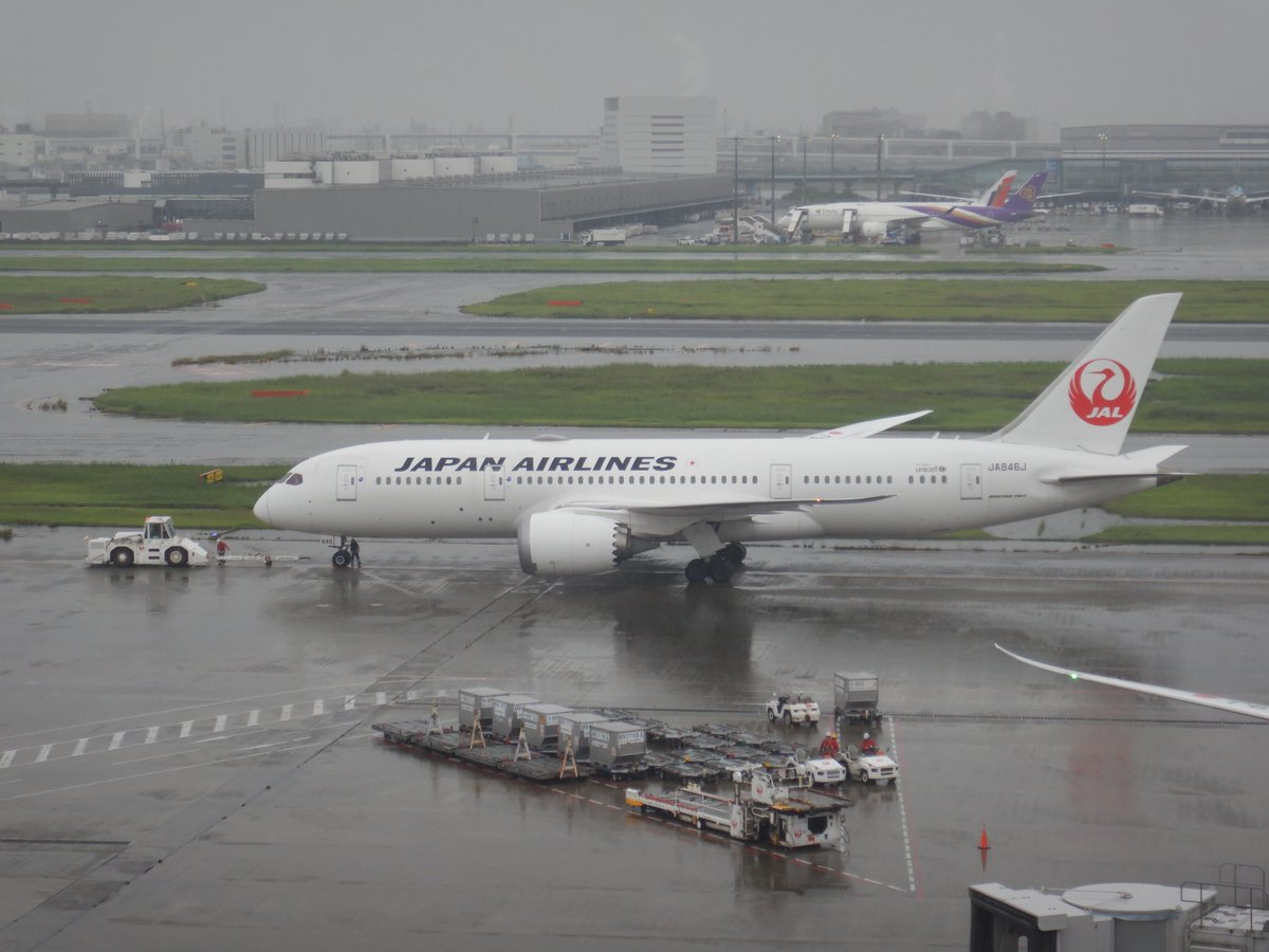mTPzKjCSID26985's tweet photo. JAL　B787-8　JA846J　国内線用機材　2026年9月撮影
＃羽田空港　＃JAL　＃飛行機　＃航空写真 https://t.co/4lC7Lky96B