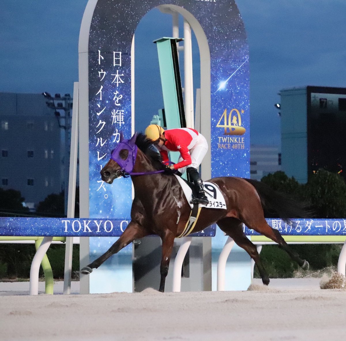 kmym_bokujo's tweet photo. 10月6日　大井競馬第9レース
アキアカネ賞(18:55 ダ1200m)

我が家の生産馬🐴クライスラー号(4番)が出走します！

前走は嬉しい嬉しい初勝利を飾りました！
同じコースでの2勝目を目指して頑張ってほしいです！

熱い応援よろしくお願いいたします‼️ https://t.co/ctNOM2QcFk