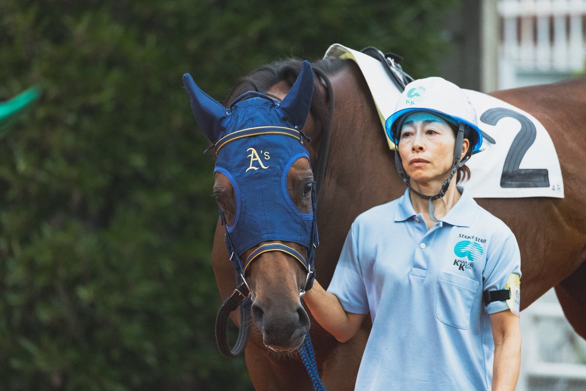 kmym_bokujo's tweet photo. 10月6日　大井競馬第9レース
アキアカネ賞(18:55 ダ1200m)

我が家の生産馬🐴クライスラー号(4番)が出走します！

前走は嬉しい嬉しい初勝利を飾りました！
同じコースでの2勝目を目指して頑張ってほしいです！

熱い応援よろしくお願いいたします‼️ https://t.co/ctNOM2QcFk