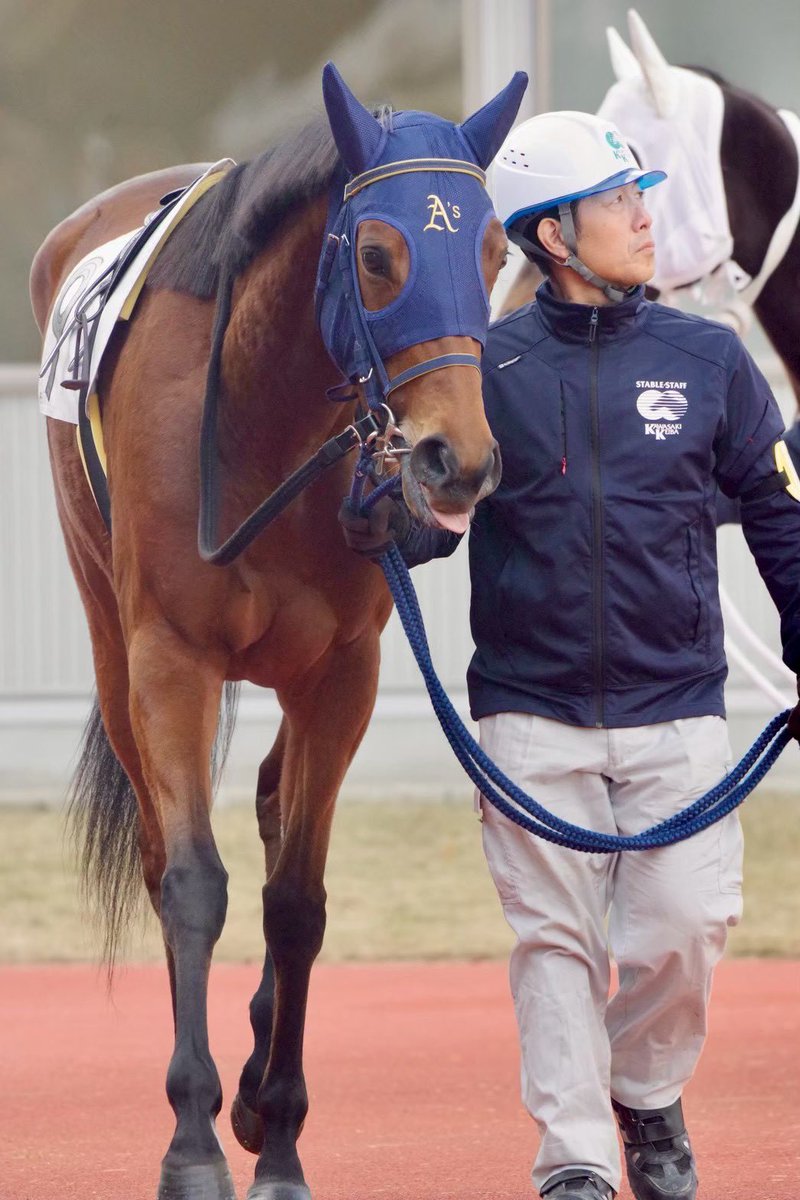 kmym_bokujo's tweet photo. 10月6日　大井競馬第9レース
アキアカネ賞(18:55 ダ1200m)

我が家の生産馬🐴クライスラー号(4番)が出走します！

前走は嬉しい嬉しい初勝利を飾りました！
同じコースでの2勝目を目指して頑張ってほしいです！

熱い応援よろしくお願いいたします‼️ https://t.co/ctNOM2QcFk