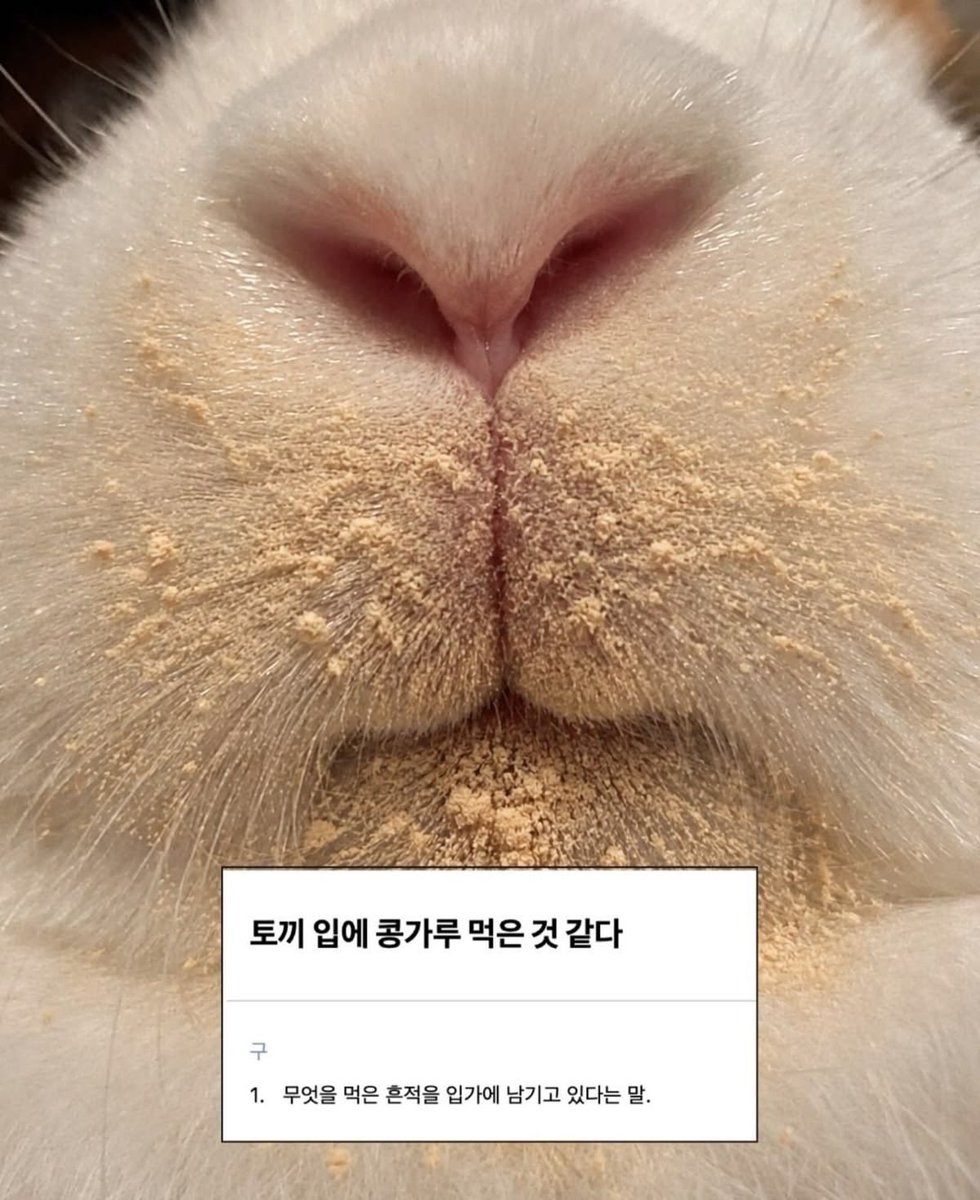 saema_new_way's tweet photo. 저 이거랑 어울리는 속담을 알아요 https://t.co/rx4N3DgBFN