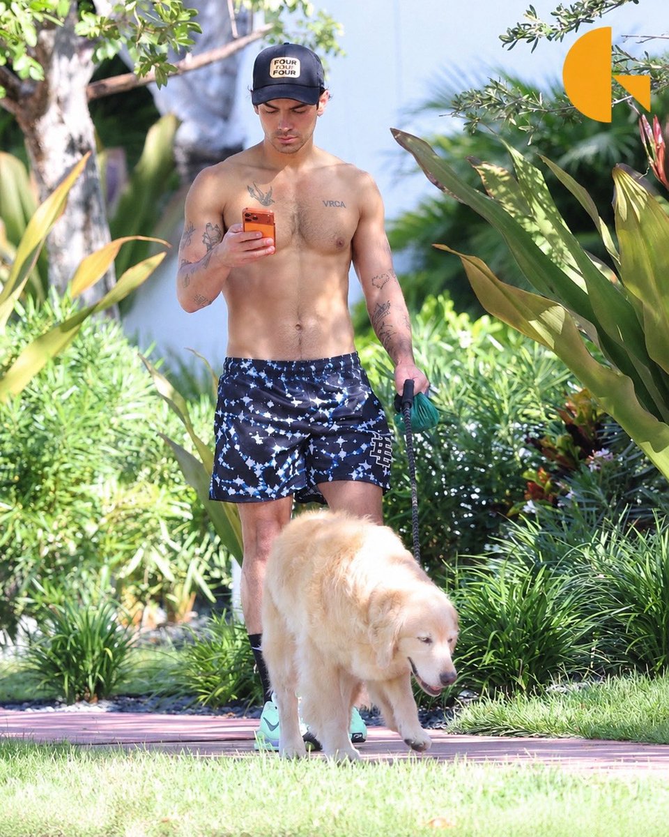 Coins_nuclear's tweet photo. Joe Jonas kicks off his morning by taking his dog for a walk in Miami 😍 https://t.co/MGk7VoqcRl