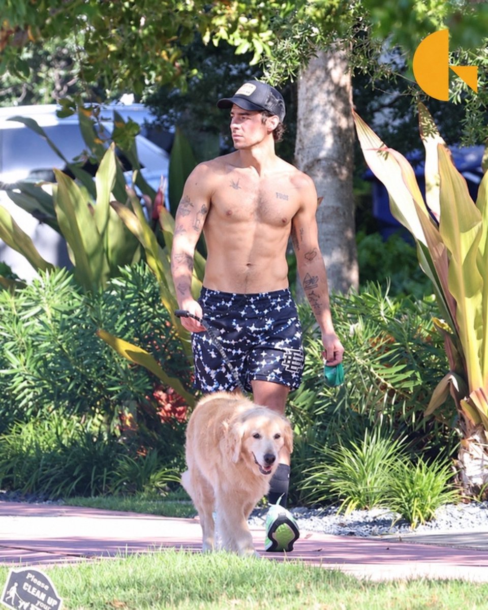 Coins_nuclear's tweet photo. Joe Jonas kicks off his morning by taking his dog for a walk in Miami 😍 https://t.co/MGk7VoqcRl