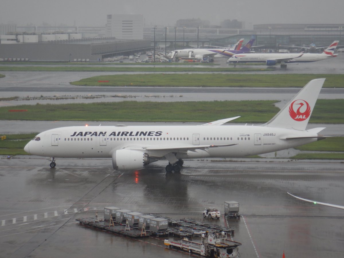 mTPzKjCSID26985's tweet photo. JAL　B787-8　JA846J　国内線用機材　2026年9月撮影
＃羽田空港　＃JAL　＃飛行機　＃航空写真 https://t.co/4lC7Lky96B