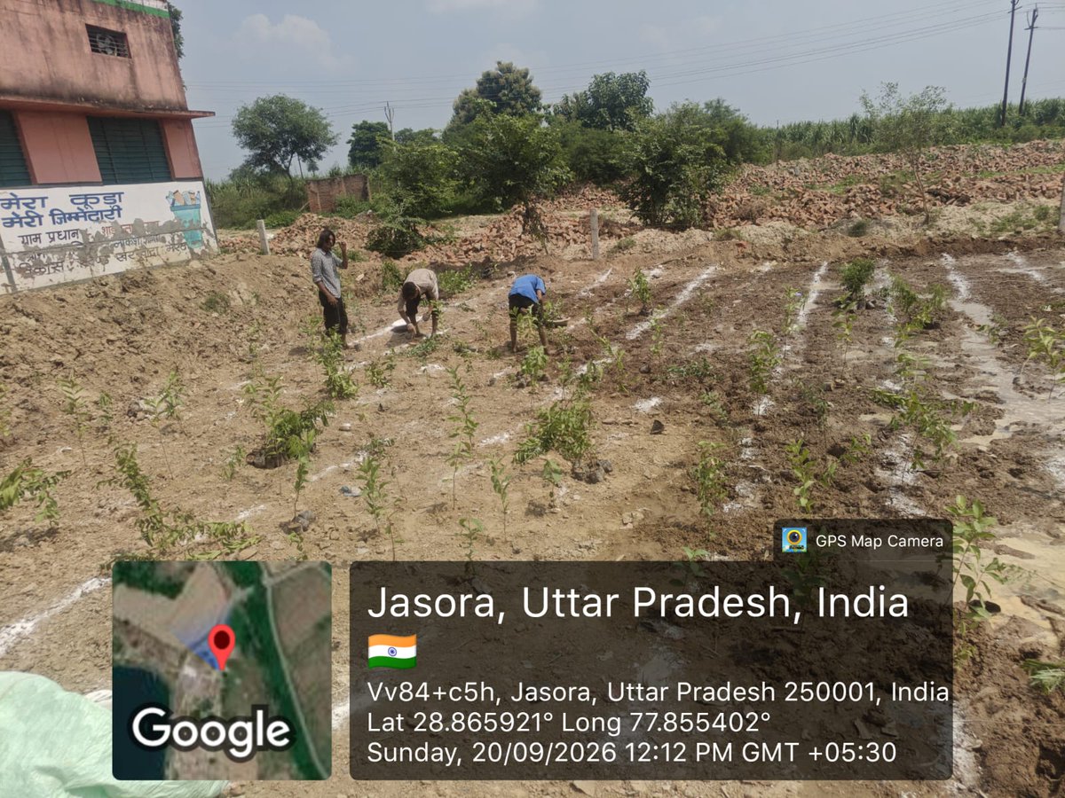 DproMeerut's tweet photo. जनपद मेरठ की ग्राम पंचायतों द्वारा मियावाकी पद्धति अपनाते हुए सघन वृक्षारोपण कराया गया। यह प्रयास ग्राम पंचायतों में हरित क्षेत्र के विकास,पर्यावरण संरक्षण एवं आने वाली पीढ़ियों के लिए स्वच्छ एवं स्वस्थ वातावरण के निर्माण की दिशा में महत्वपूर्ण पहल है।
#PLANTAION
#SevaSetuAbhiyan https://t.co/5L3AqApqTS