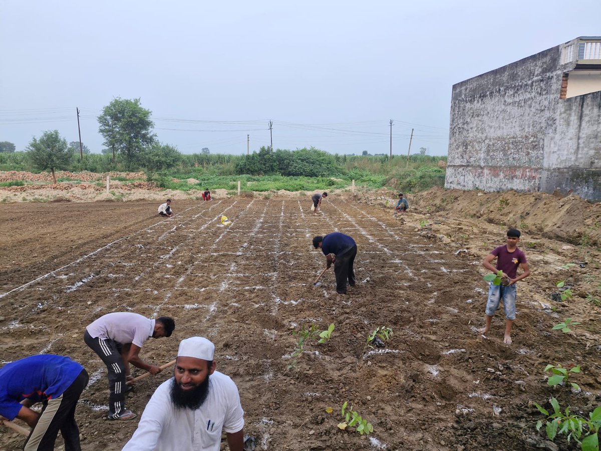 DproMeerut's tweet photo. जनपद मेरठ की ग्राम पंचायतों द्वारा मियावाकी पद्धति अपनाते हुए सघन वृक्षारोपण कराया गया। यह प्रयास ग्राम पंचायतों में हरित क्षेत्र के विकास,पर्यावरण संरक्षण एवं आने वाली पीढ़ियों के लिए स्वच्छ एवं स्वस्थ वातावरण के निर्माण की दिशा में महत्वपूर्ण पहल है।
#PLANTAION
#SevaSetuAbhiyan https://t.co/5L3AqApqTS