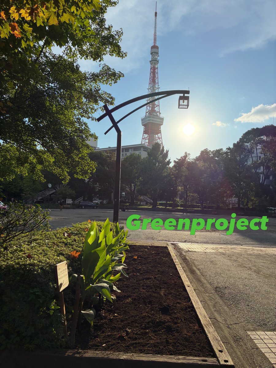CleanupFrontier's tweet photo. Green project
芝公園4号地のひまわり花壇を整えてきました
イベントの後、花壇に行く事が出来ずにいましたが
今日の午後にひまわり花壇を撤収してきました
その後スコップで土を掘り起こして整えてきました
朝顔は次回です
18日日9時から花植えを植えていきます
お近くの方は是非ご参加下さい https://t.co/PaQlOX9U6i